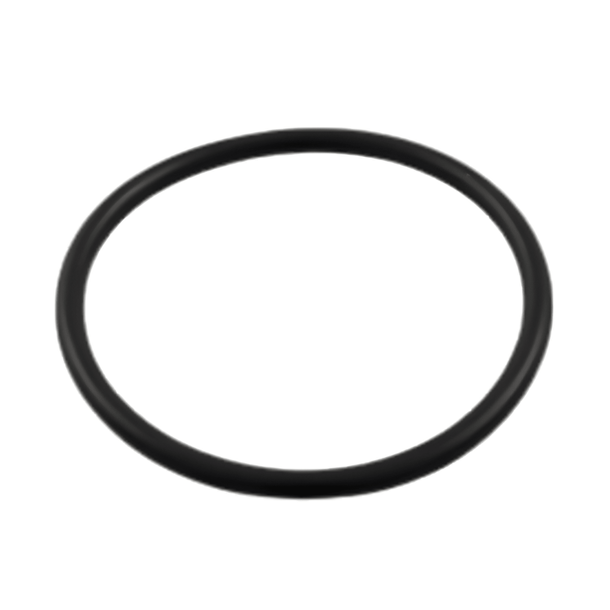 Aqua-Flo Circ Master Union O-Ring - O-rings & Gaskets