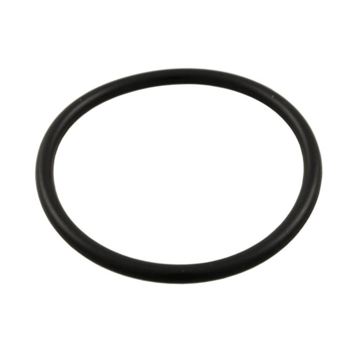 Aqua-Flo XP2/XP2e & Waterway Union O-Ring - O-rings & Gaskets