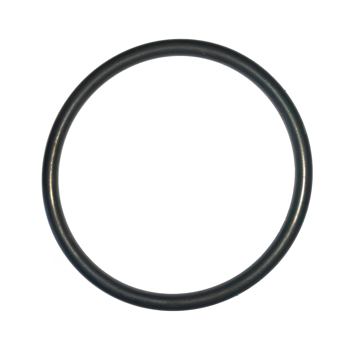 Balboa/Onga Spa Bath Pump Union O-Ring