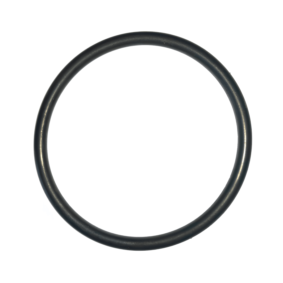 Balboa/Onga Spa Bath Pump Union O-Ring - O-rings & Gaskets