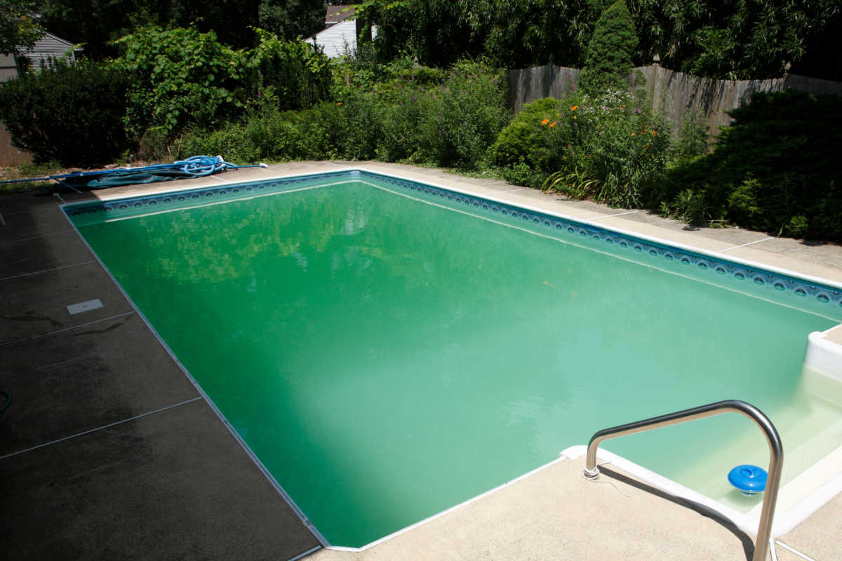 How To Fix a Green Pool Fast (Step-By-Step Guide)