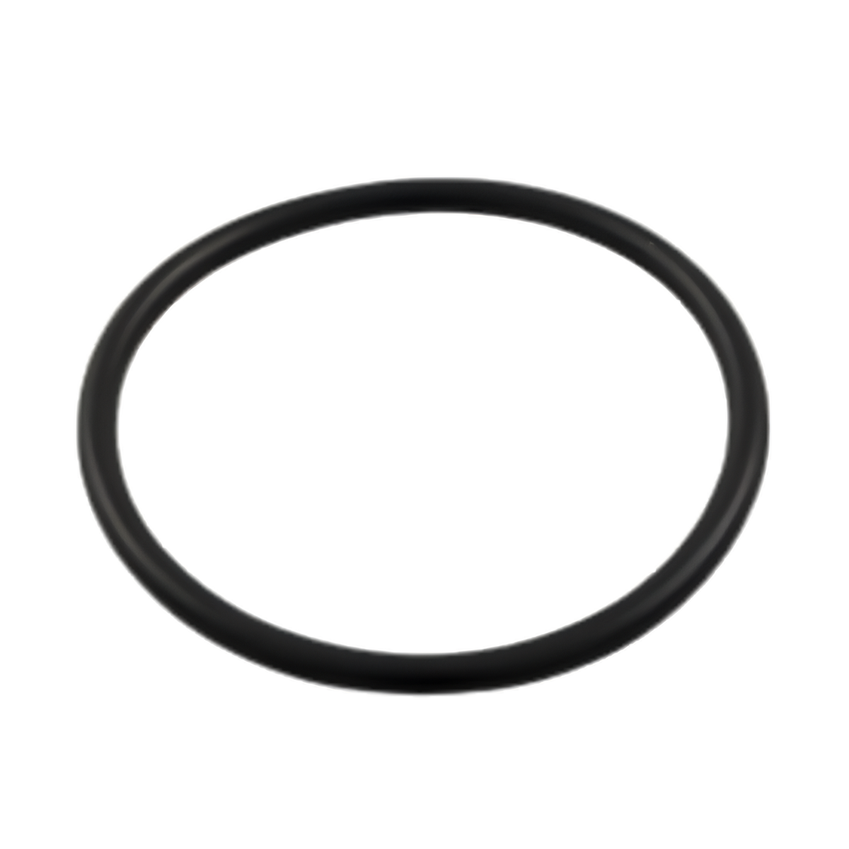 Aqua-Flo Circ Master Union O-Ring