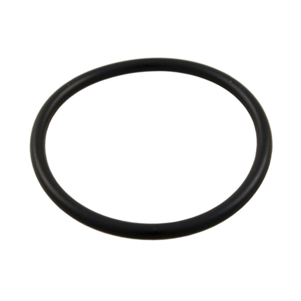 Aqua-Flo XP2/XP2e & Waterway Union O-Ring